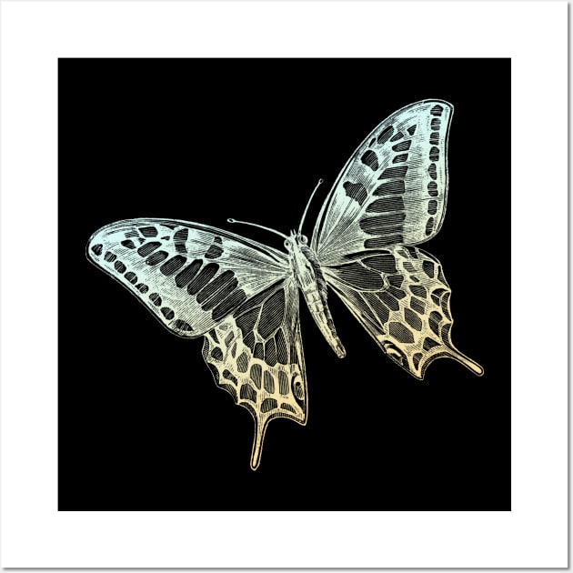 Yellow butterfly Wall Art by Blacklinesw9